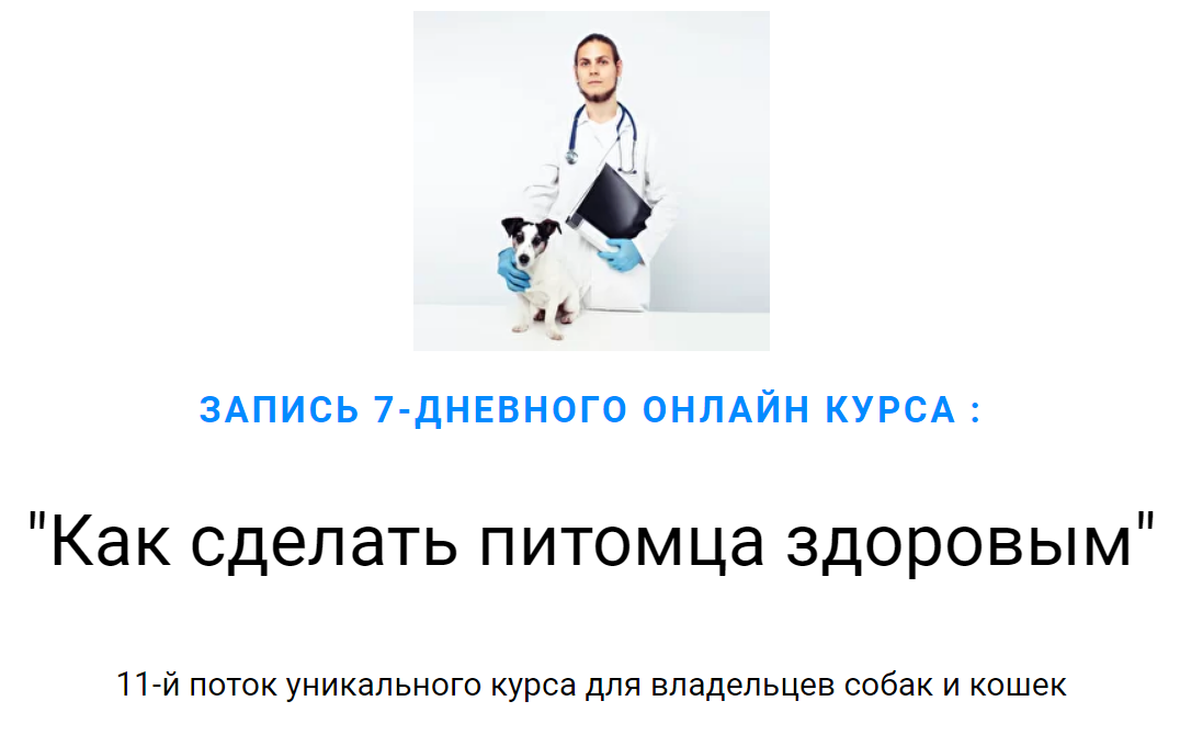 [Дмитрий Русаков] Как сделать питомца здоровым (20_0.png